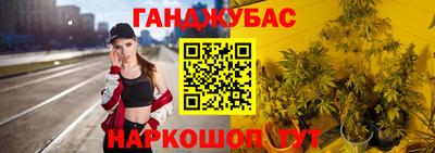 сатива Пенза