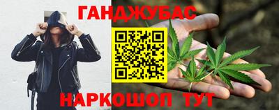 сатива Пенза