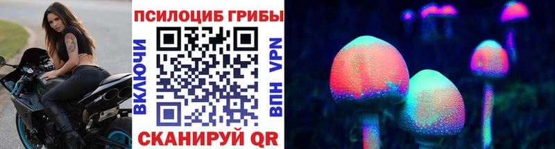 наркошоп  blacksprut   маркетплейс состав  Сунжа  Псилоцибиновые грибы ЛСД 