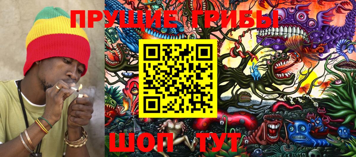 Сунжа  Псилоцибиновые грибы GOLDEN TEACHER  Псилоцибиновые грибы Psilocybine cubensis  Вход с VPN 