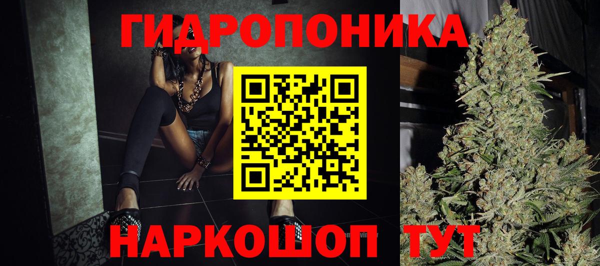 Шишки марихуана семена Сунжа